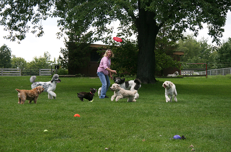 Frisbee6364