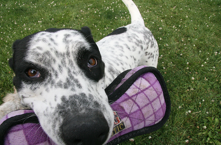 Mia5198e