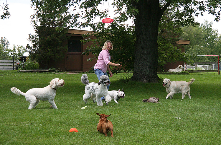 Playgroup6361