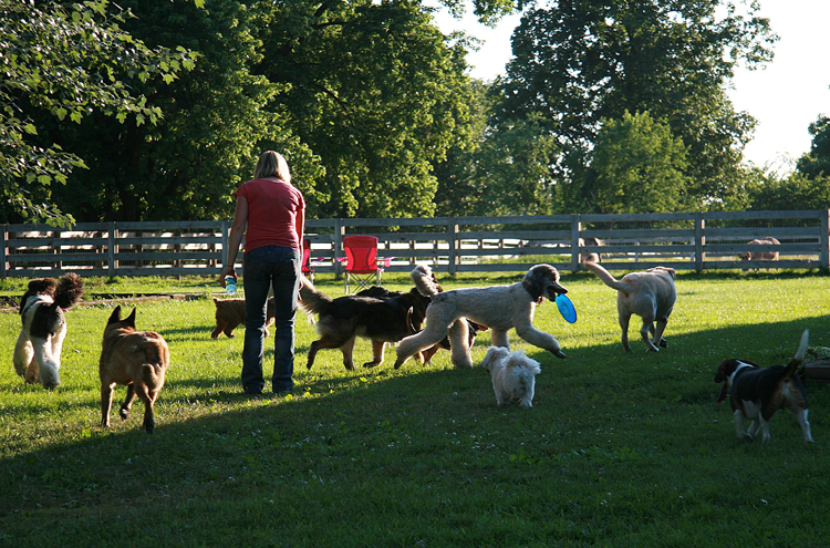 Playgroups5712