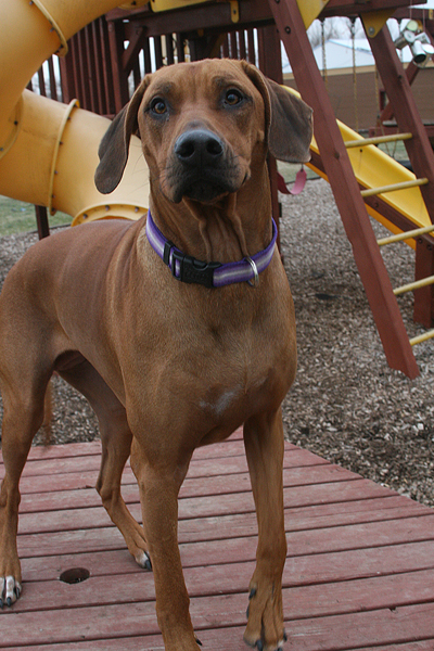 NewtHankHartley7819E