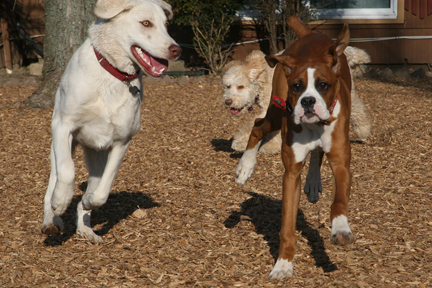 0948SargeClarkHollyE