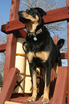 1104JakeE