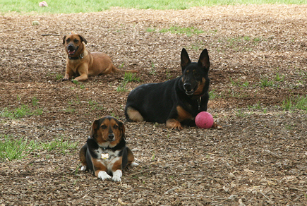 2508EmmageneSofiKiaE