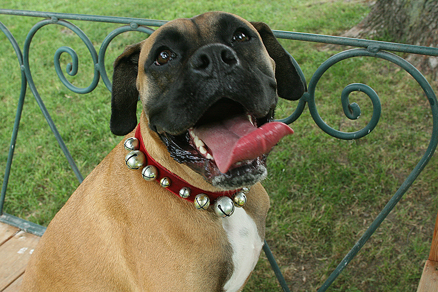 5158SophieE