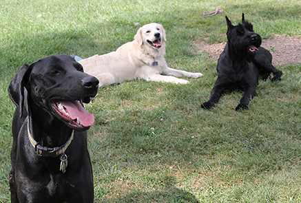 WarriorPiperMarco0639E