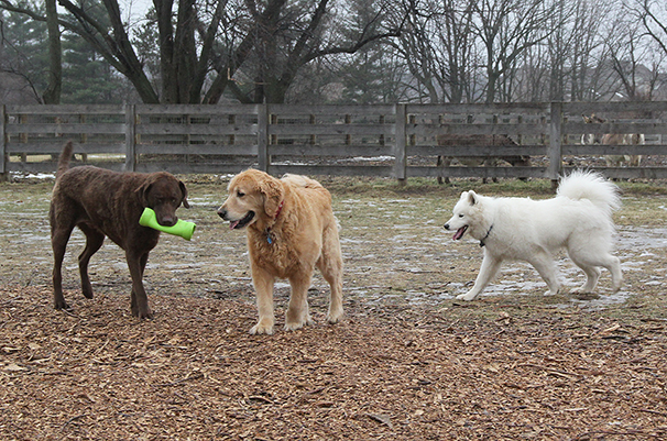 TeddyBaileyWinter5360E