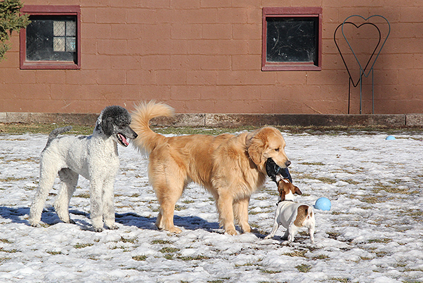 WesleyBrutusKami5123E