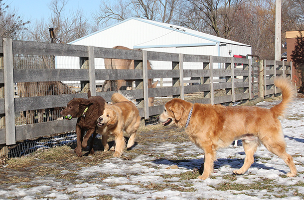 WesleyLeoBailey5115E