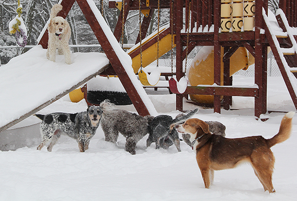 6464HollyAnnieGroupE