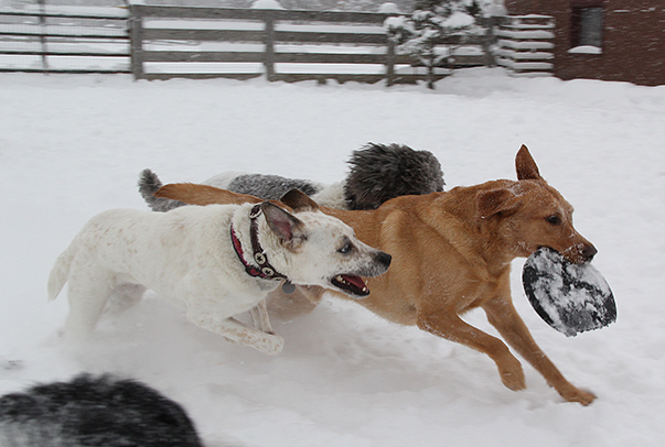 6700RustyWhisperKrackerE