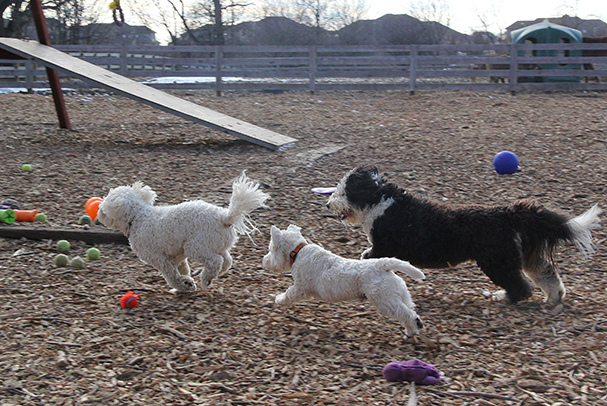 9231RubyHarryCNelsonE