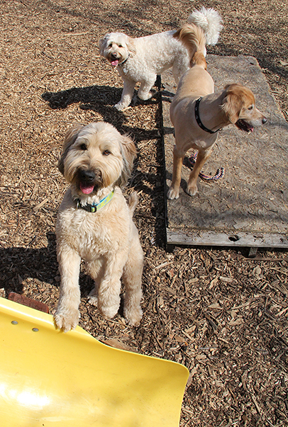 0774CooperSitkaFrankE