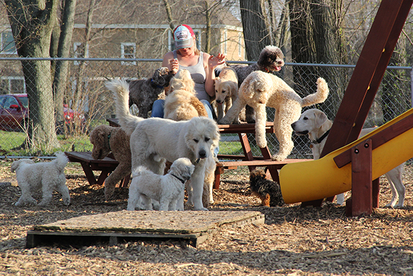 0995KirstenLillyLucyE