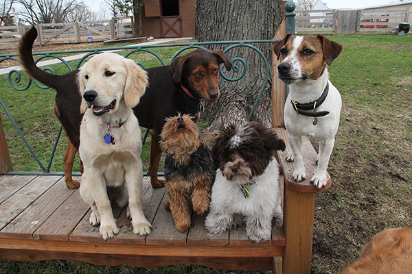 1380IzzyRezaJaviBrutusWillowE