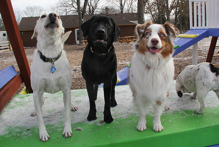 9162KatieSeamusPiperE