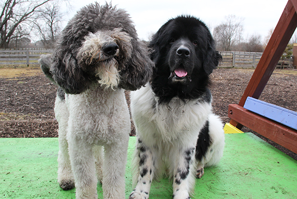 KrackerSparticus0454E